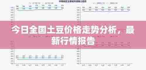 今日全国土豆价格走势分析，最新行情报告