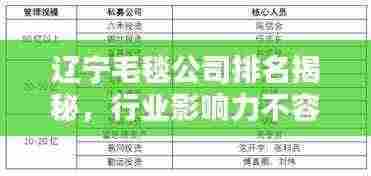 辽宁毛毯公司排名揭秘，行业影响力不容小觑