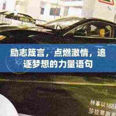 瞋目张胆 第3页