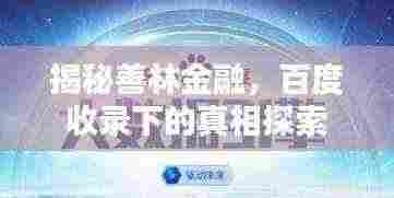 揭秘善林金融，百度收录下的真相探索