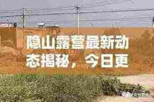 隐山露营最新动态揭秘,今日更新消息全掌握