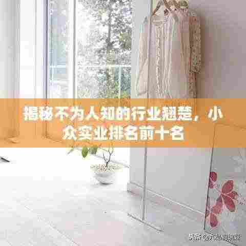 揭秘不为人知的行业翘楚，小众实业排名前十名