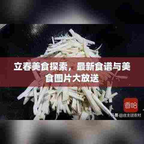 立春美食探索,最新食谱与美食图片大放送