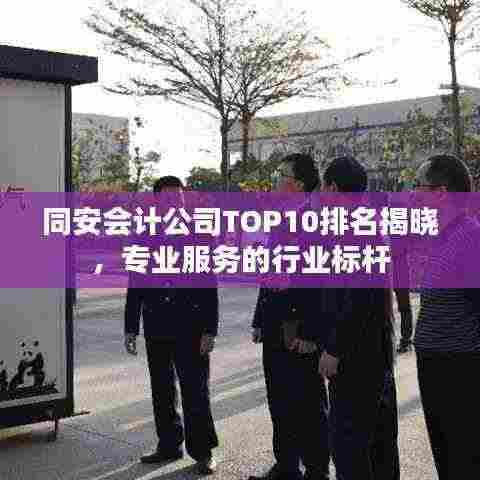 同安会计公司TOP10排名揭晓，专业服务的行业标杆