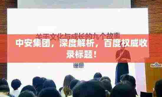 中安集团，深度解析，百度权威收录标题！