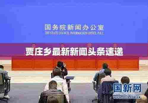 贾庄乡最新新闻头条速递