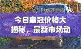 今日皇冠价格大揭秘，最新市场动态，珠宝行业必备知识！