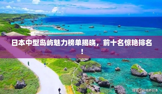 高人雅士 第3页