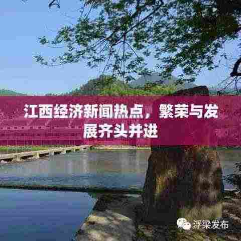 江西经济新闻热点，繁荣与发展齐头并进