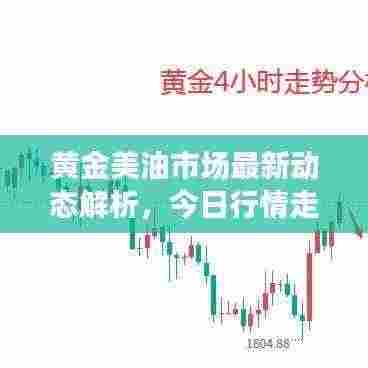 黄金美油市场最新动态解析，今日行情走势分析