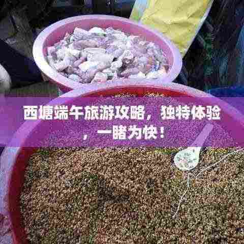 西塘端午旅游攻略，独特体验，一睹为快！