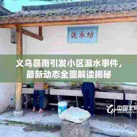 义乌暴雨引发小区漏水事件，最新动态全面解读揭秘