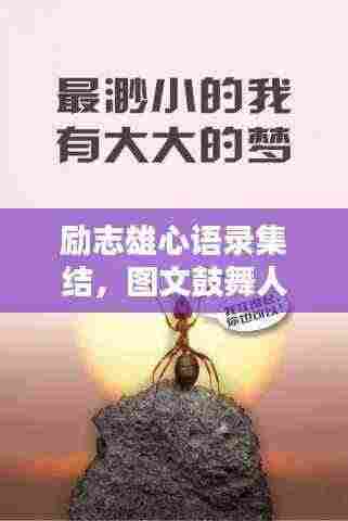 励志雄心语录集结，图文鼓舞人心