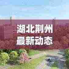 湖北荆州最新动态速递