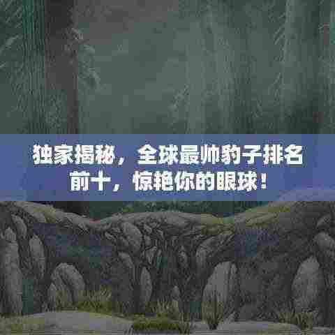 独家揭秘，全球最帅豹子排名前十，惊艳你的眼球！