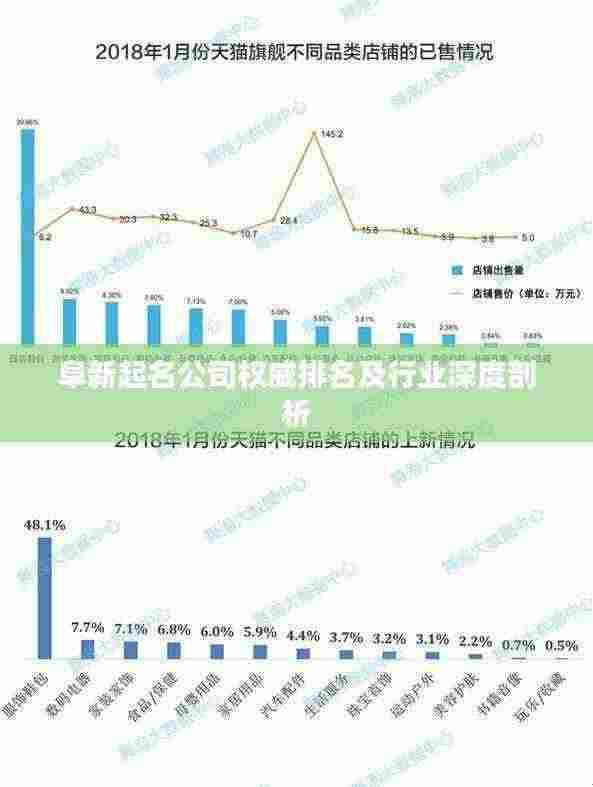 阜新起名公司权威排名及行业深度剖析