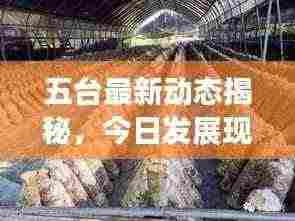 五台最新动态揭秘，今日发展现状及最新消息速览