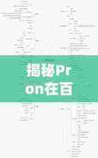揭秘Pron在百度下的奥秘，深度探讨与解析