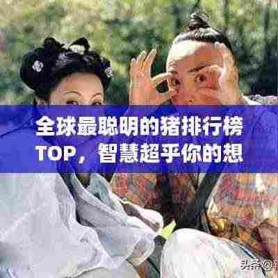 全球最聪明的猪排行榜TOP，智慧超乎你的想象！