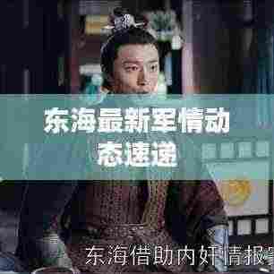东海最新军情动态速递