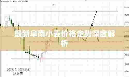 最新阜南小麦价格走势深度解析