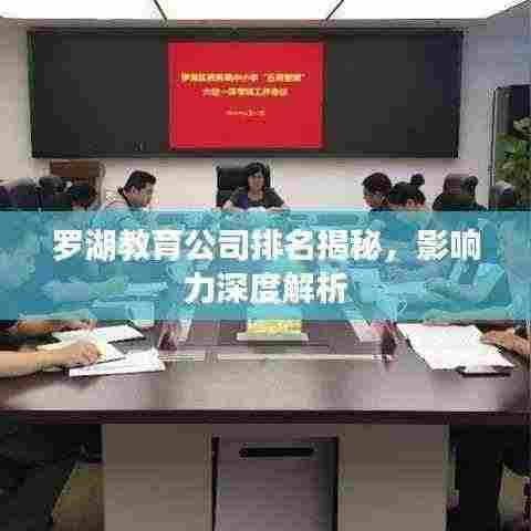 罗湖教育公司排名揭秘，影响力深度解析
