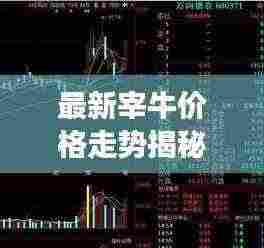 最新宰牛价格走势揭秘，市场趋势与影响因素深度解析