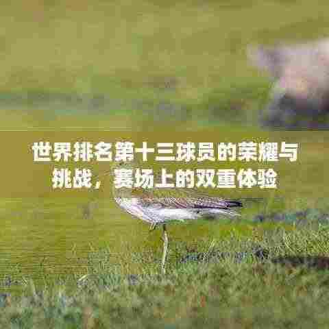 凤凰于飞 第3页