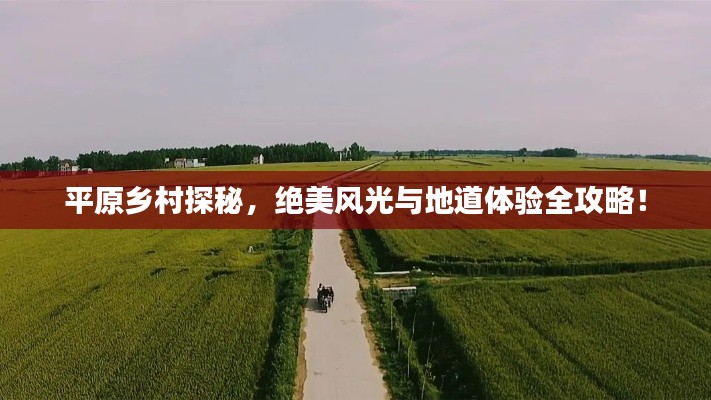 平原乡村探秘，绝美风光与地道体验全攻略！