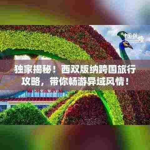 独家揭秘！西双版纳跨国旅行攻略，带你畅游异域风情！