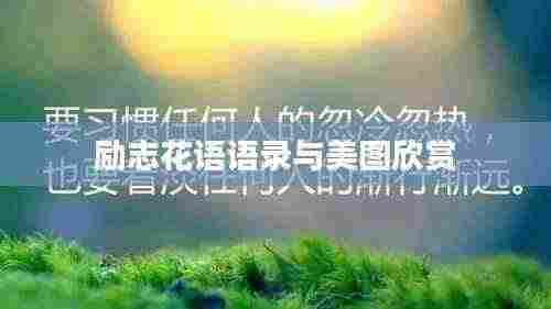 励志花语语录与美图欣赏