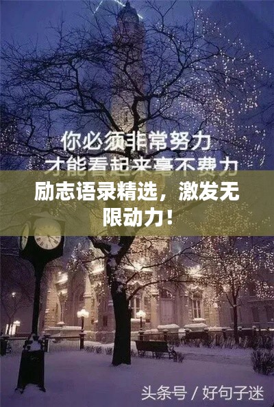 倦鸟思归 第3页