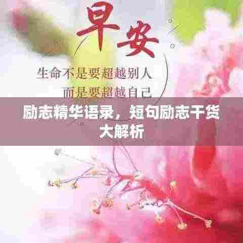 励志精华语录，短句励志干货大解析