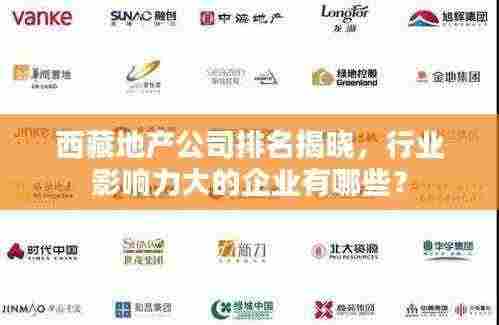 西藏地产公司排名揭晓，行业影响力大的企业有哪些？