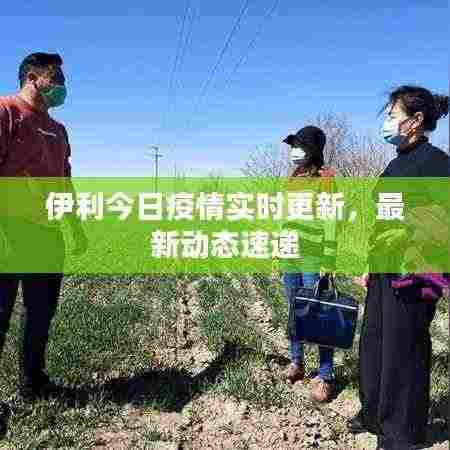 伊利今日疫情实时更新，最新动态速递