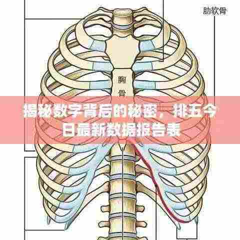 揭秘数字背后的秘密，排五今日最新数据报告表