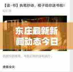 衣不重彩 第3页