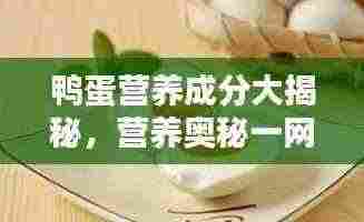鸭蛋营养成分大揭秘，营养奥秘一网打尽！