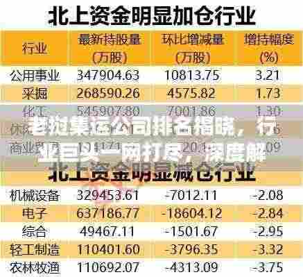 老挝集运公司排名揭晓，行业巨头一网打尽，深度解析服务细节！