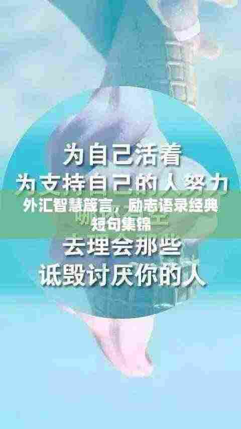 五角六张 第3页