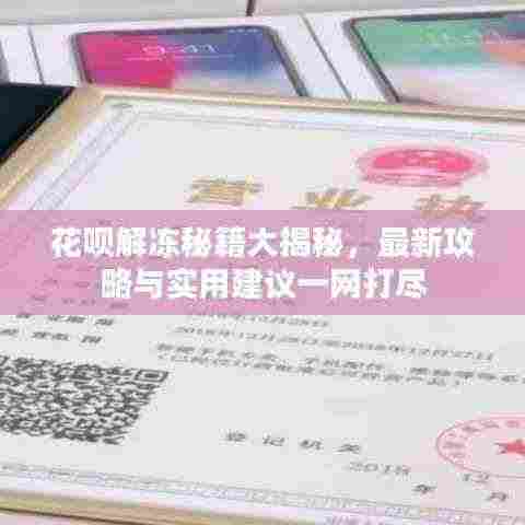 花呗解冻秘籍大揭秘，最新攻略与实用建议一网打尽