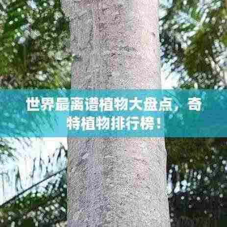 齿白唇红 第3页