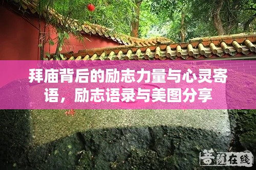 降尊纡贵 第3页