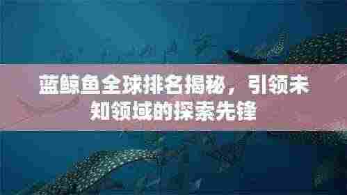 蓝鲸鱼全球排名揭秘，引领未知领域的探索先锋