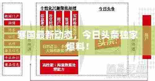 寒国最新动态，今日头条独家爆料！