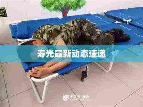 寿光最新动态速递