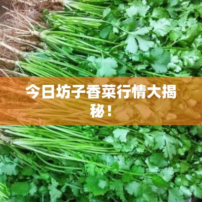 披沙拣金 第3页