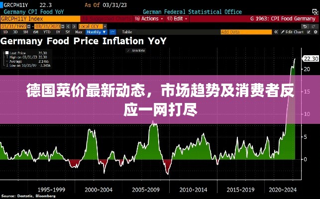 德国菜价最新动态，市场趋势及消费者反应一网打尽