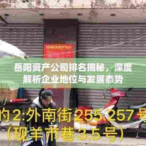 岳阳资产公司排名揭秘，深度解析企业地位与发展态势
