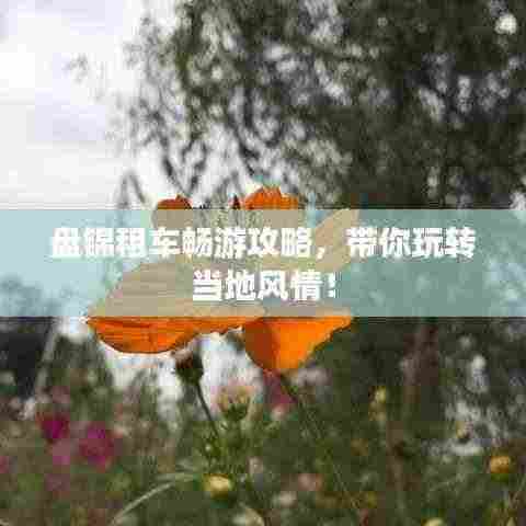 盘锦租车畅游攻略，带你玩转当地风情！